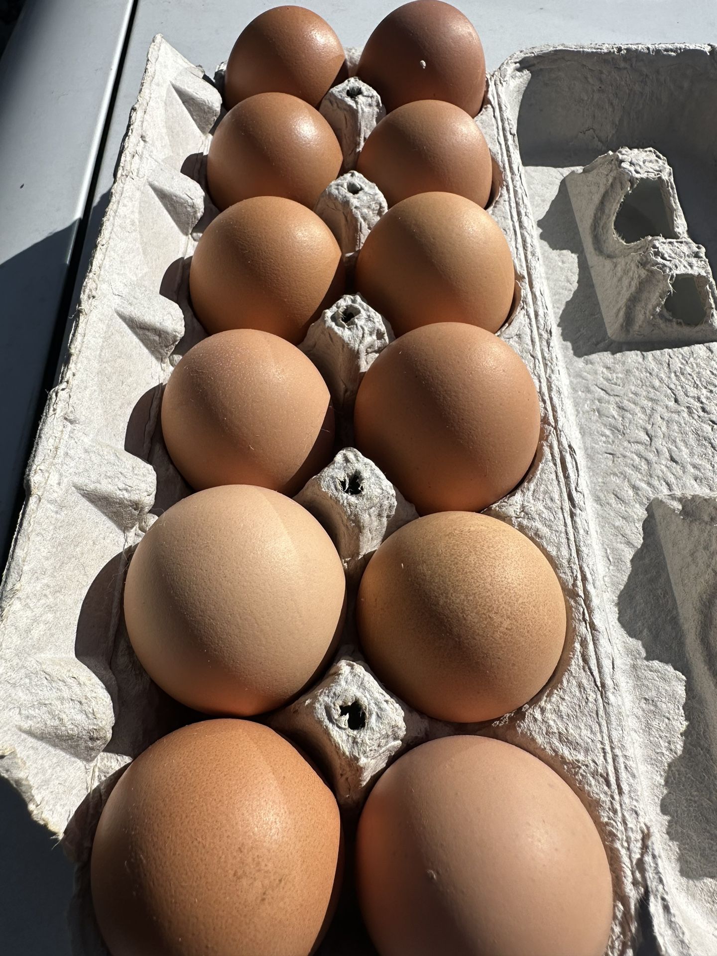 Eggs