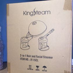 Kingsteam  Hair & Facial Steamer