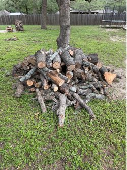 Free Oak firewood