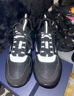 Dior b22