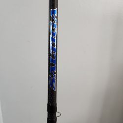 Daiwa Saltiga SLTGJ70HS