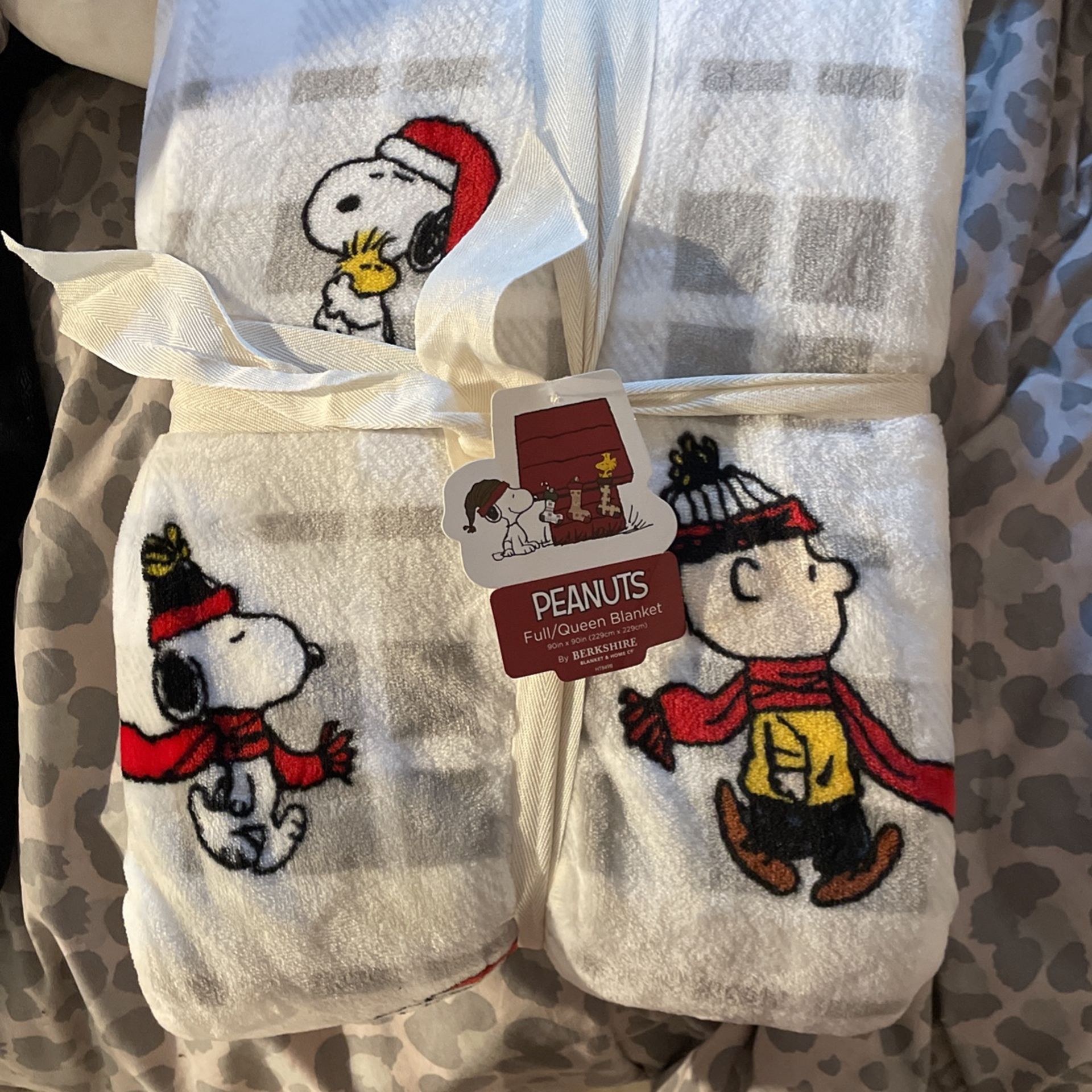 Snoopy Blanket 