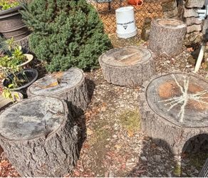 Free seasoned wood rounds