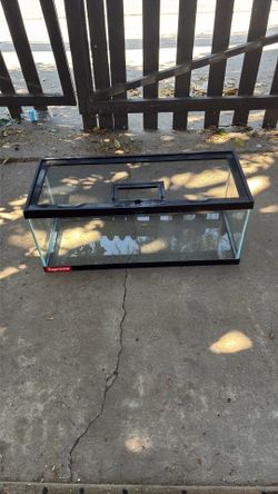 20 gallon reptile tank