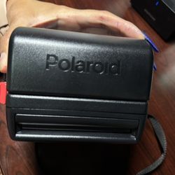 Polaroid