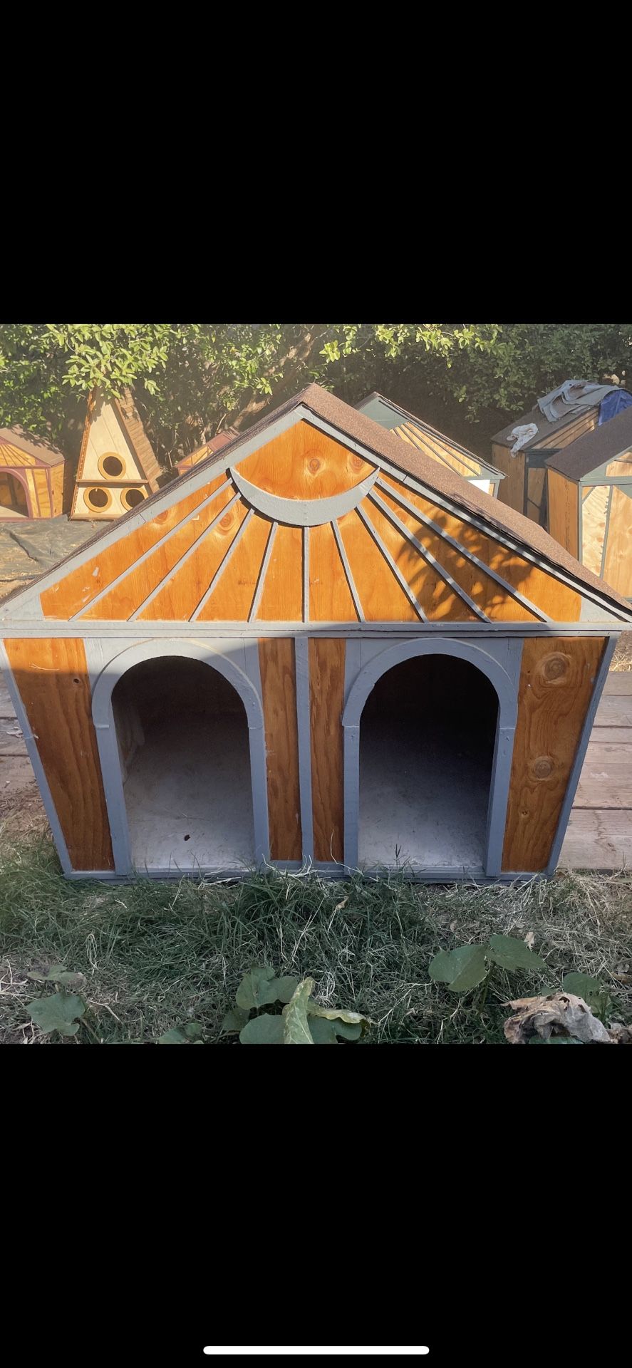 Dog House 