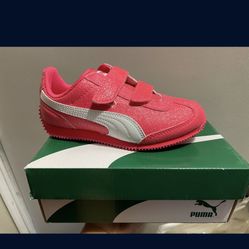 Pumas New