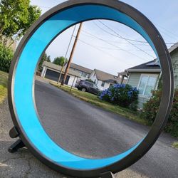 One Fast Cat Exercise Wheel