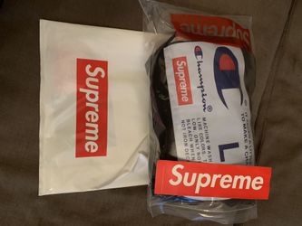 Supreme champion hoodie NWT