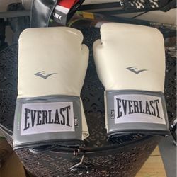 Everlast Boxing Gloves 