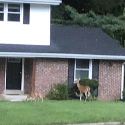 Rento Sección D Casa En Fort Washington Md Con Cocina  Bańo Salud Independiente, Nuevo Y Con Sala