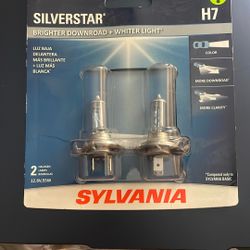 Car Halogen Lamp
