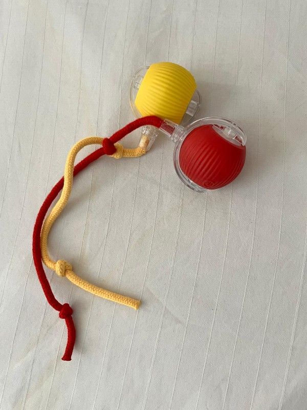Pet Interactive Toys 2
