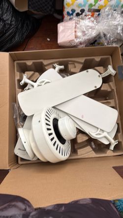 Ceiling fan