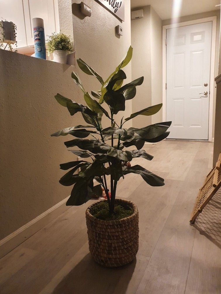 Artificial Faux Plant 