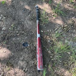Bat