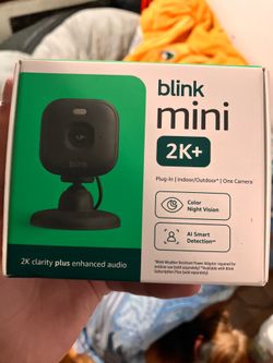 Blink mini 2k+