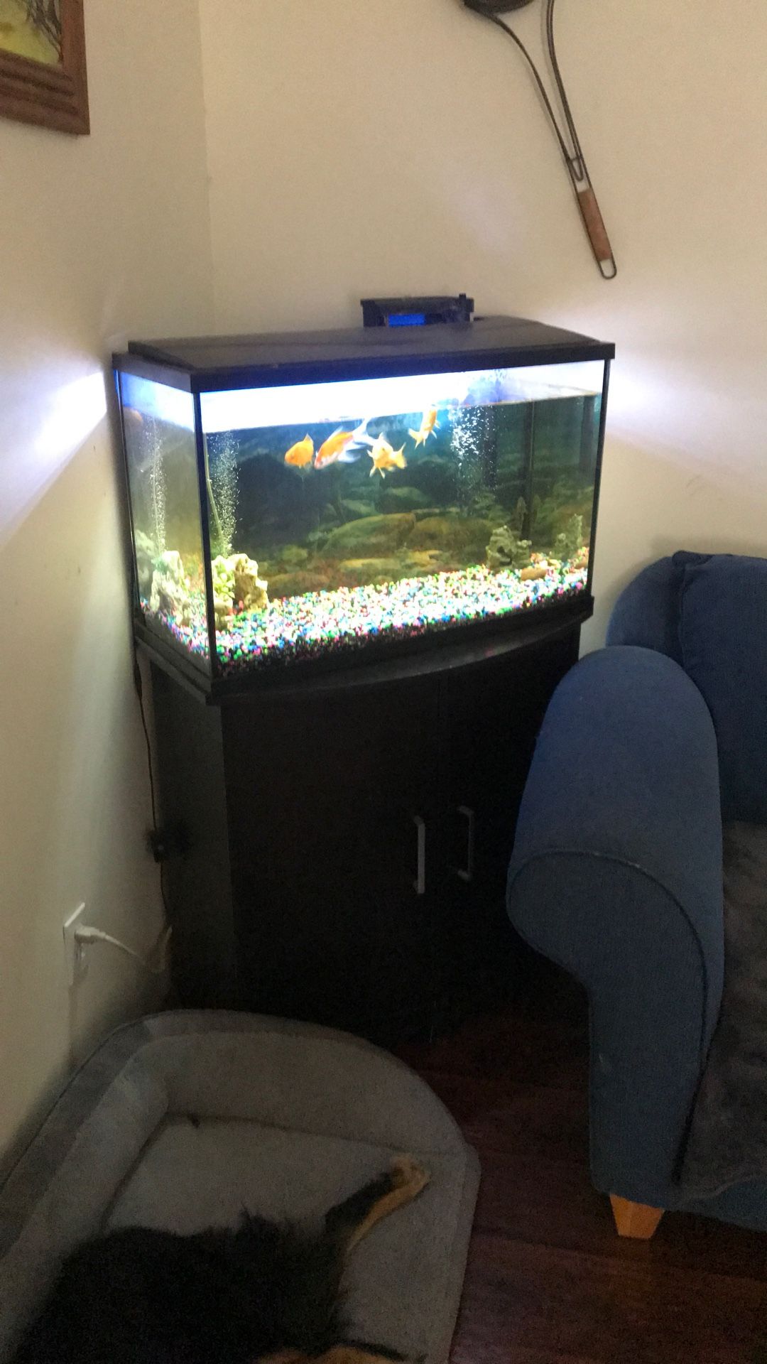Fish Tank & Stand