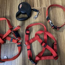 Dog Harnesses, TOP PAW Collar, FLEXI Leash, XXL Kong Ball