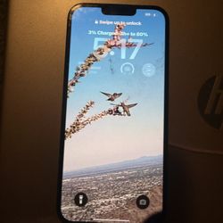 iPhone 13 Pro Max 256GB