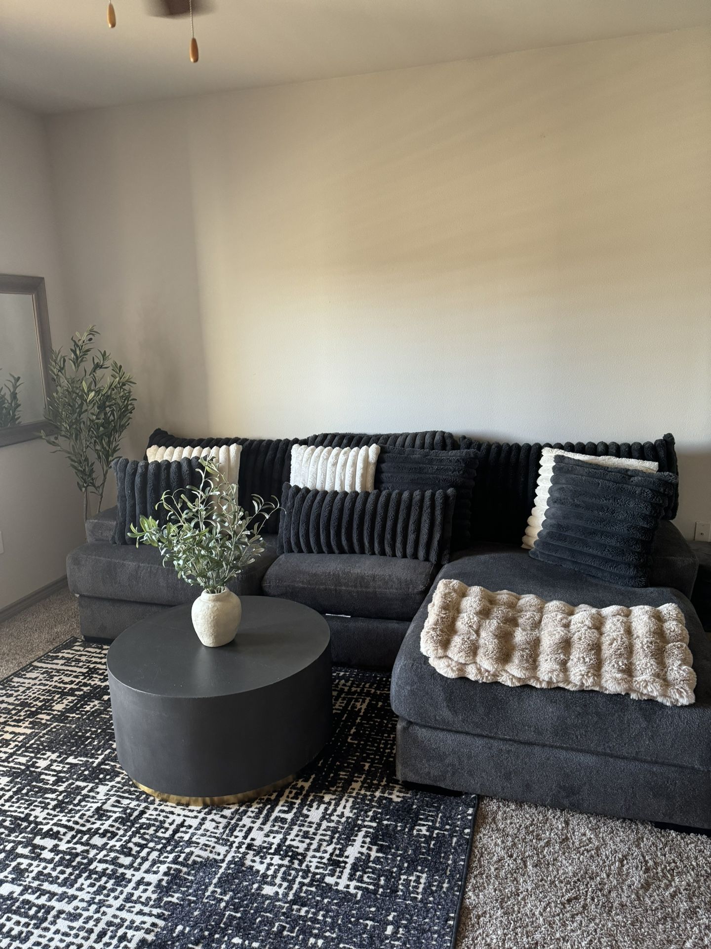 Couch, Coffee Table + Rug