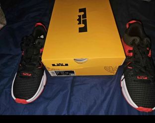 LeBron Sneakers#9