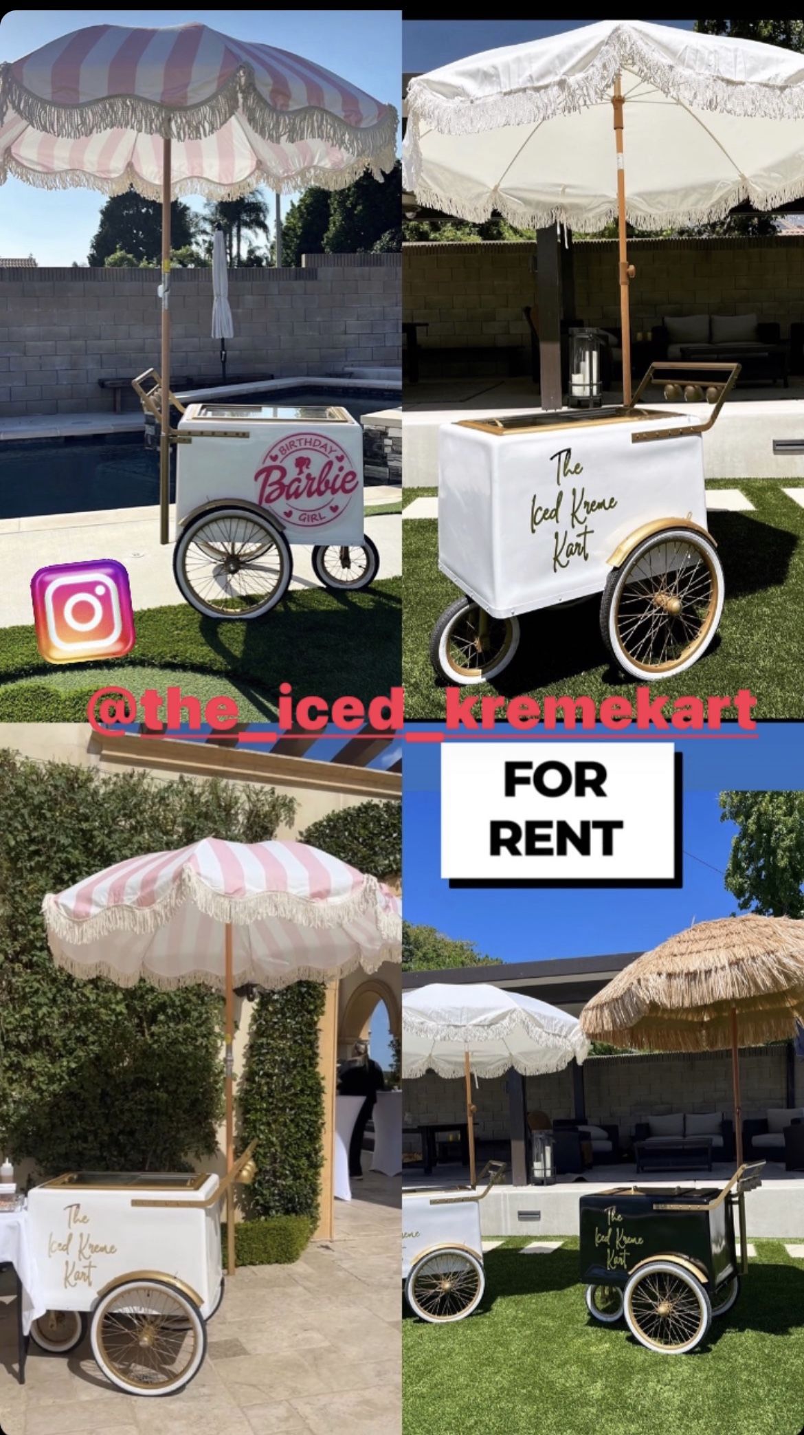 Paleta Cart
