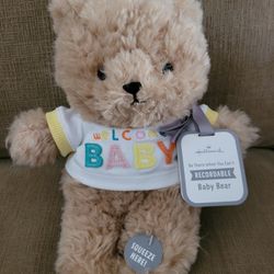 Hallmark Recordable Teddy Bear