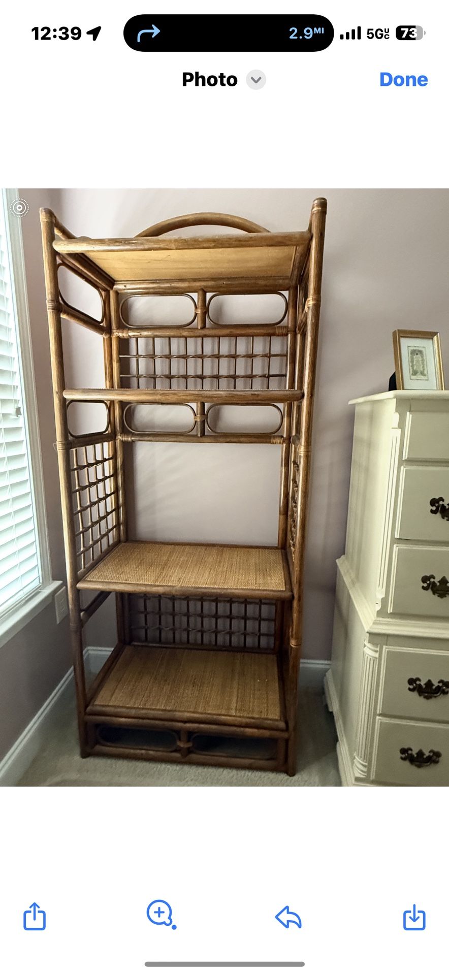 1970 Vintage Bamboo Rattan Etagere (Display Case/Bookshelf Plant Holder No Glass
