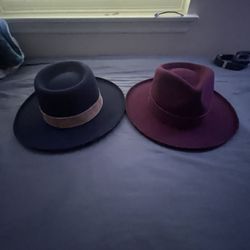 Echo Park Fedora Hat Maroon  & Navy