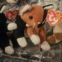 TY Beanie Babies Cats