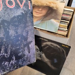 Box Of Vinyl Records