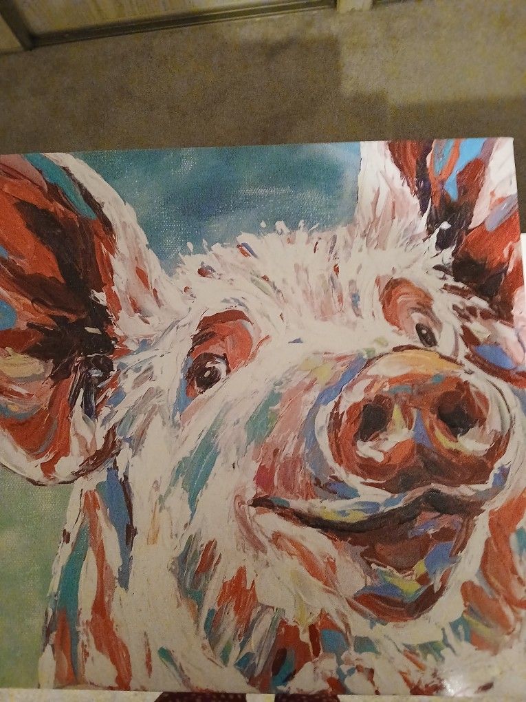 Beautiful Colors Pig Picture