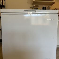 Portable freezer