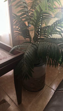 Fake plant