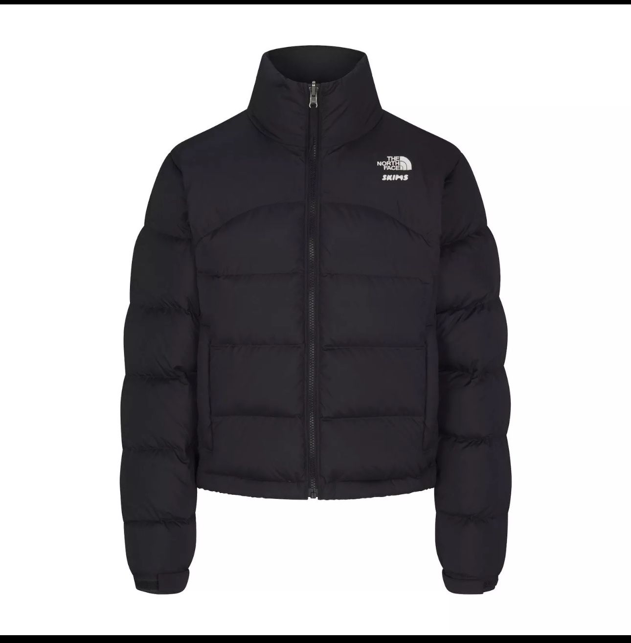 THE NORTH FACE X SKIMS 2000 RETRO NUPTSE JACKET ONYX