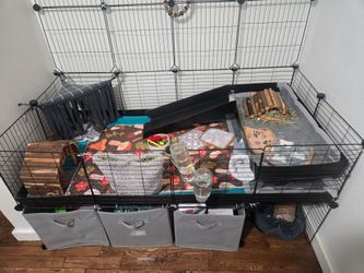 Kavee guinea pig cage