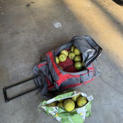 Rawlings Rolling Softball Bag + Large Lot of Slowpitch Softballs – $100 OBO