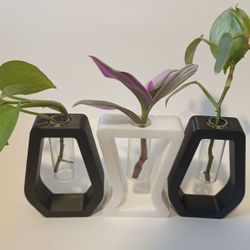 Plant Propagation Units 
