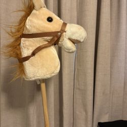 Riding horse stick