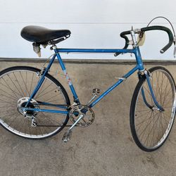 Vintage Schwinn Varsity Bicycle