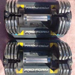 Pair Of Pro Form Adjustable 25 Lb Chrome Dumbbells 