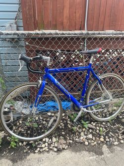 Denali road/gravel bike