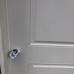       Puerta     Para  Exterior  Nueva      