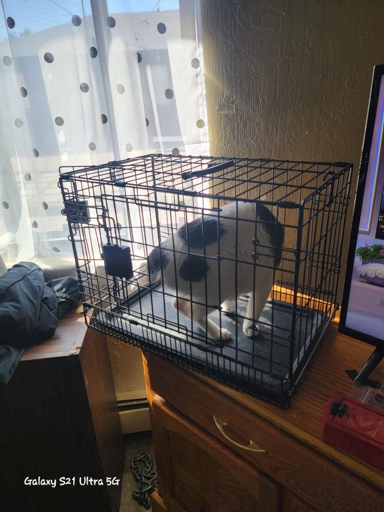 Cat Or Small Dog Crate