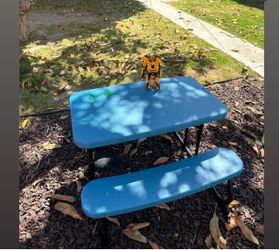 Kids Picnic Table