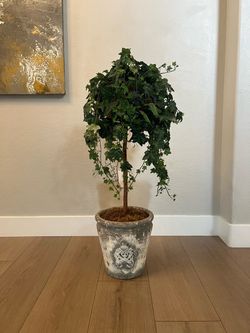 41” English Ivy Topiary Tree w/ Antique Weathered Finish Planter Pot