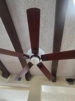 Ceiling fan with light