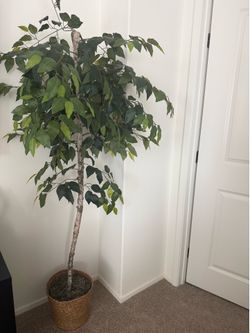 🌿 Faux Ficus Tree with Woven Basket Pot 🌿