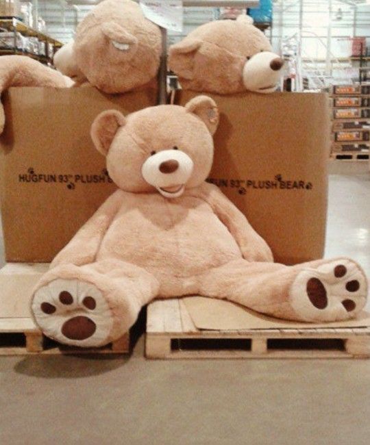 Giant Teddy Bear 93'